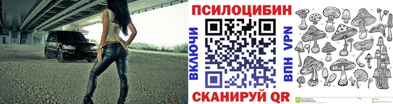 магазин продажи наркотиков  Ясный  Псилоцибиновые грибы прущие грибы 